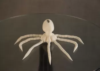 3D Octopus Model
