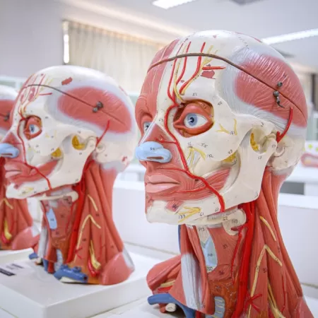 3d Onderwijsmaterialen