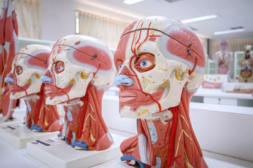 3d Onderwijsmaterialen