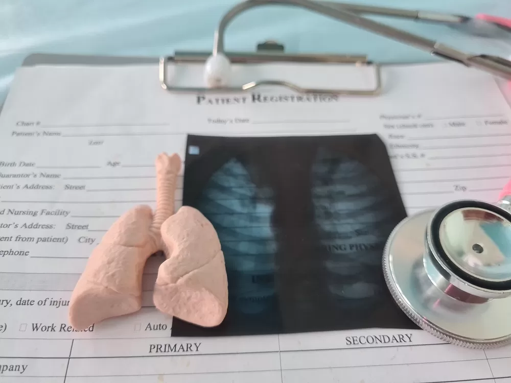 3d Printen In Onderwijs