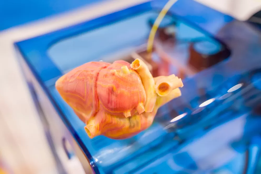 3d printen in onderwijssector