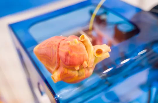 3d Printen In Onderwijssector