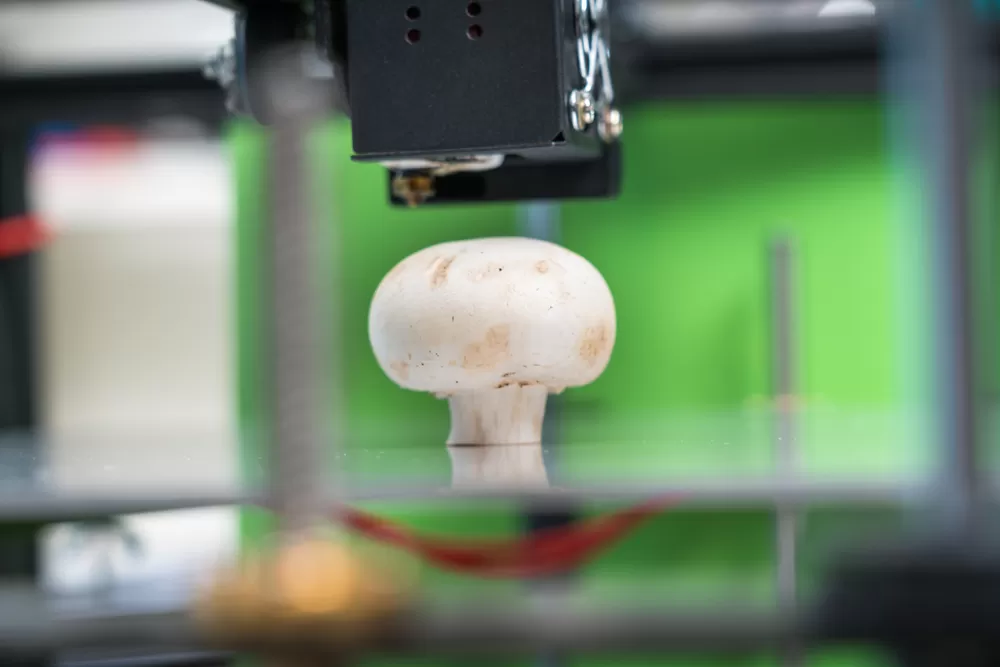 3d Printen Van Voedsel