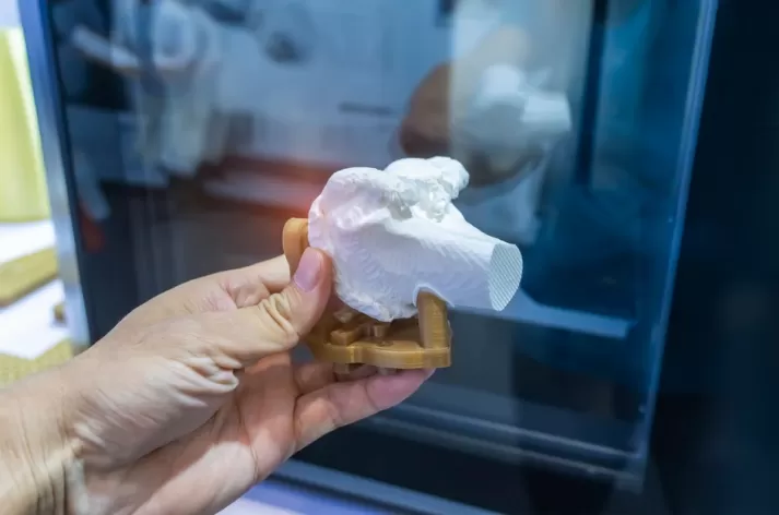 3d printer gezondheidssector