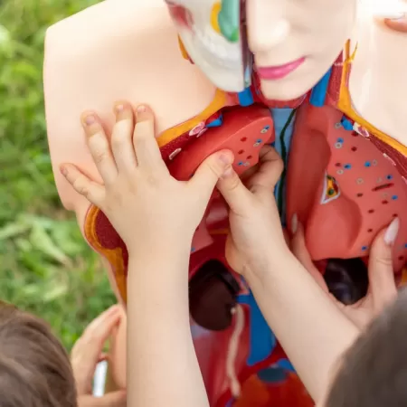 3d Printer Onderwijs 1