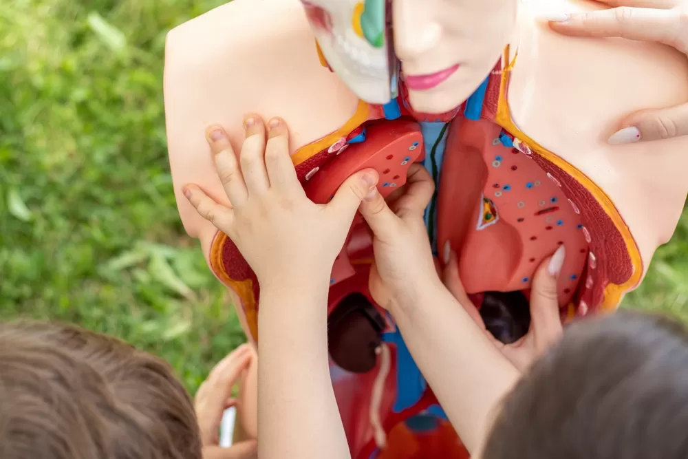 3d Printer Onderwijs 1