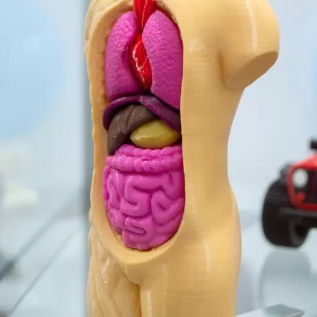 3d Printers In Onderwijssector 1