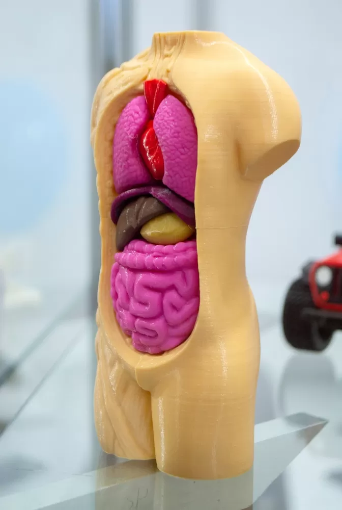 3d Printers In Onderwijssector 1