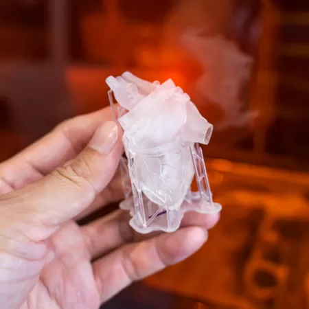 3d Productie Gezondheid 1