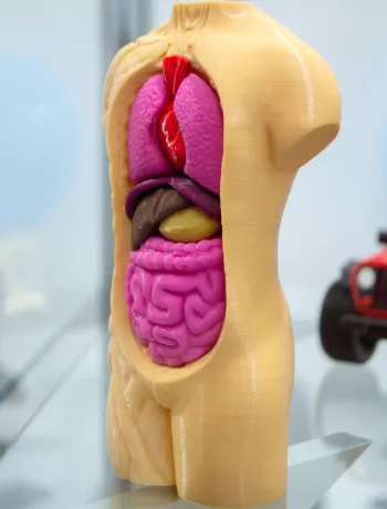 3d productie gezondheid