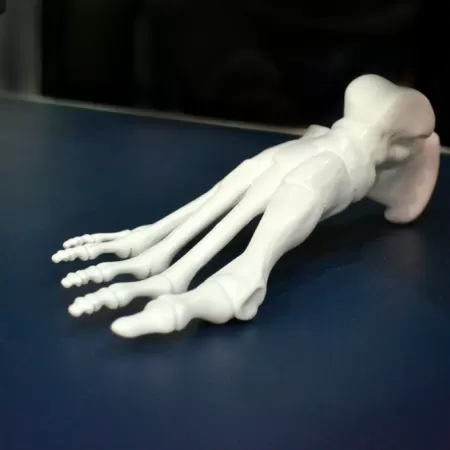 Biomedische 3d Productie 2