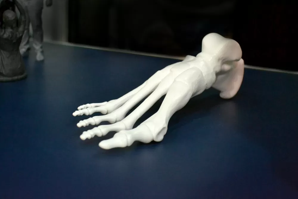 Biomedische 3d Productie 2