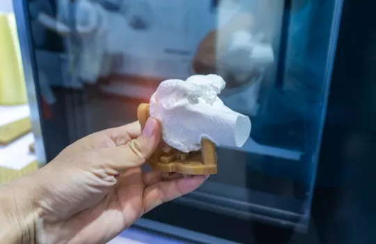 Biomedische 3d Productie