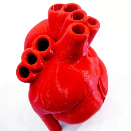 Biomedische 3d Productie1