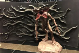 Görsel 8