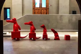 Görsel 5