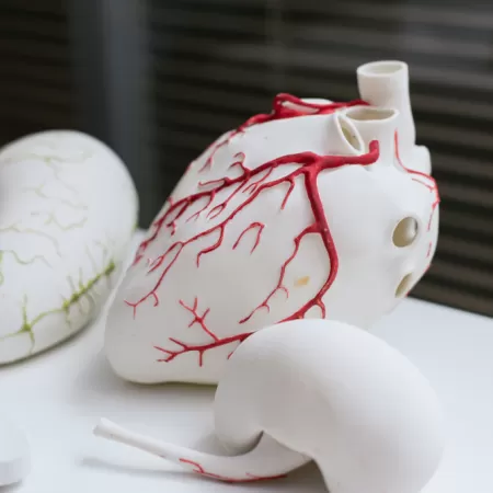 Onderwijs 3d Productie