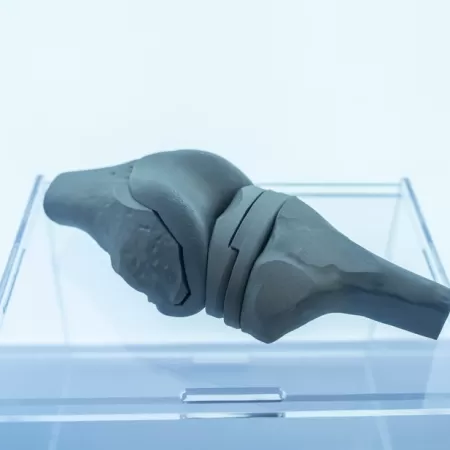 Prijzen Voor Biomedische 3d Productie