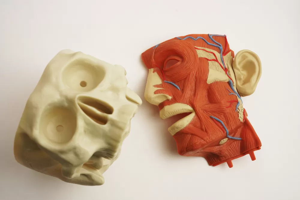 Tandheelkundiged Productie 4