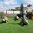 3D Karakter Printen