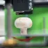 Hoe wordt 3D-printen Gebruikt in de Landbouw?