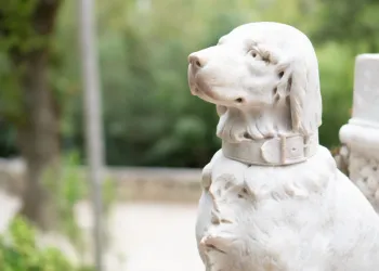 Wat is Beeldhouwkunst en hoe Wordt het Gemaakt?