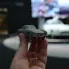 Verschil Tussen 3D-printen en Prototype